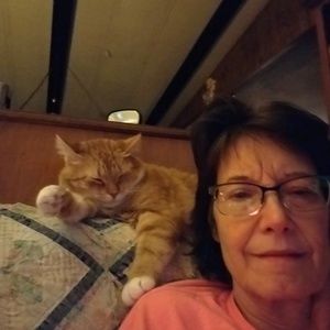 Meet your Posher, Pam